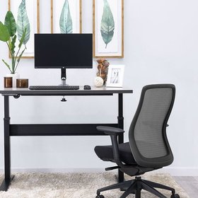 OM Chairs
