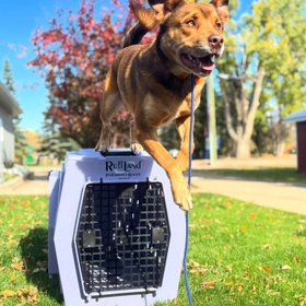 RuffLand Performance Kennels