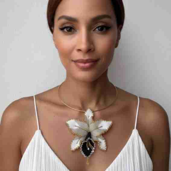 Iliana Arrazola Reviews