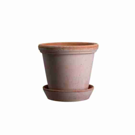 Rosa Terracotta Pot