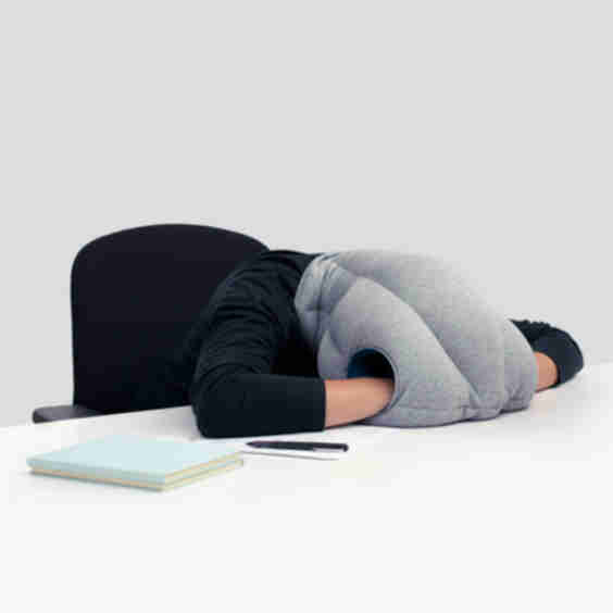 Original Napping Pillow