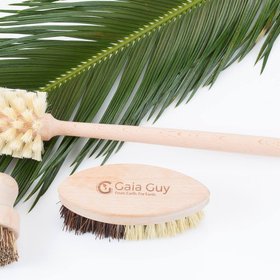 Gaia Guy