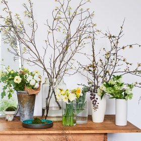 Bloomist