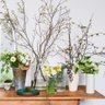 Bloomist