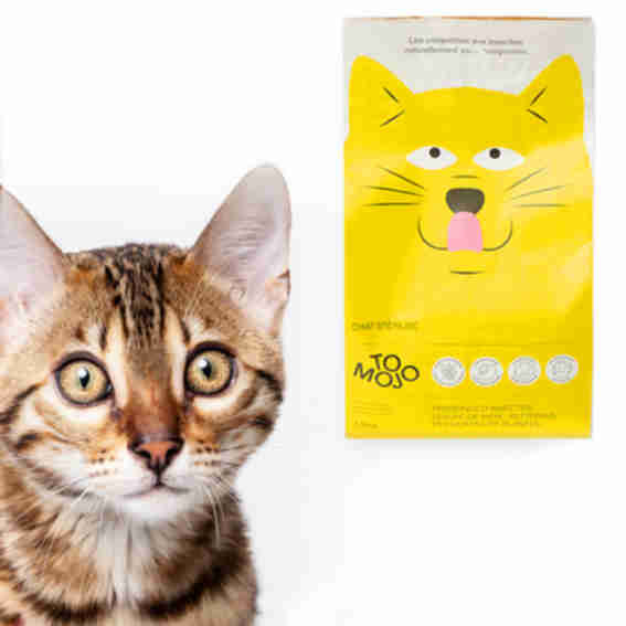 Tomojo Reviews