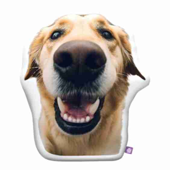 Custom Shaped Dog Pillow