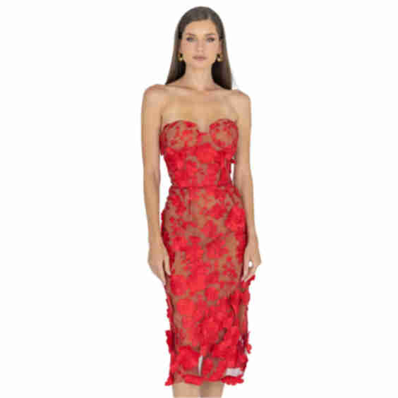 Anni Floral Embroidered Strapless Midi Dress