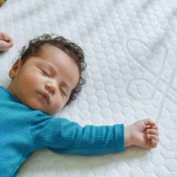Lullabee Reviews