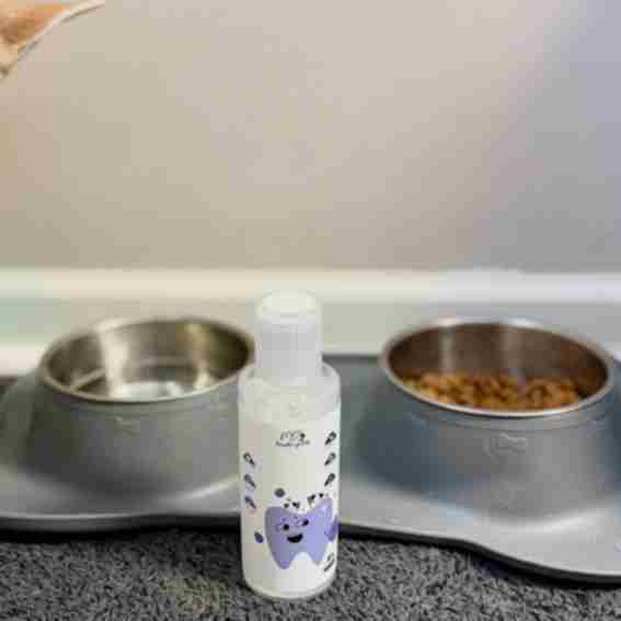 PawBright Reviews
