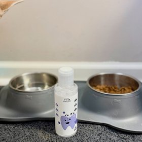 PawBright
