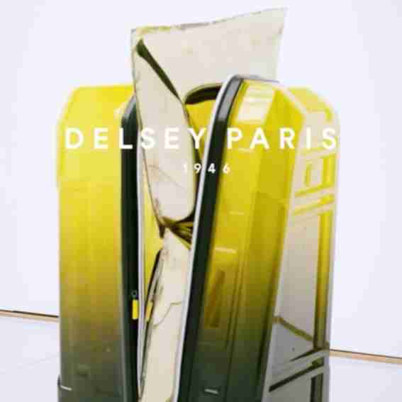 Delsey Reviews