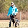 Sparkdog Collars
