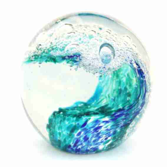 California Seashell Co Reviews