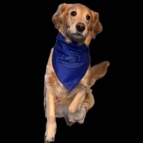 Pocket Retriever LLC