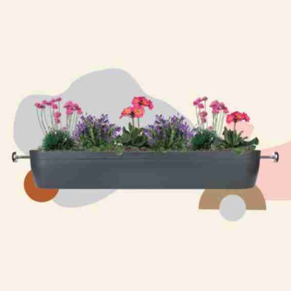 Window Fleur Reviews