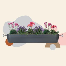 Window Fleur
