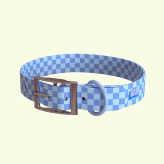 Checkered Collar