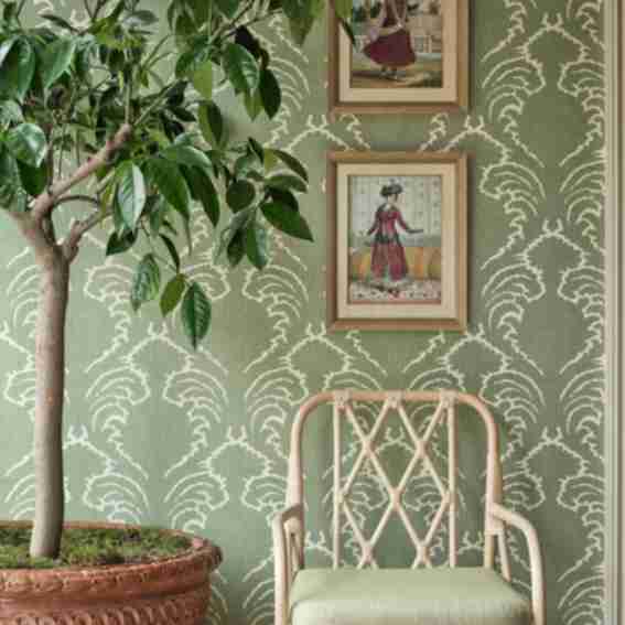 Soane Reviews
