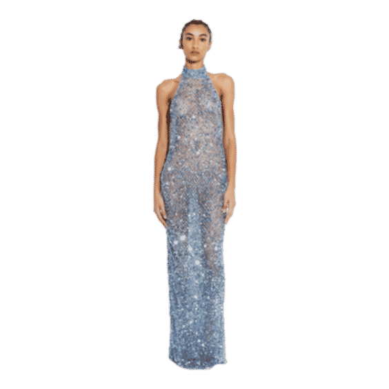 Net Mesh Sequin Gown