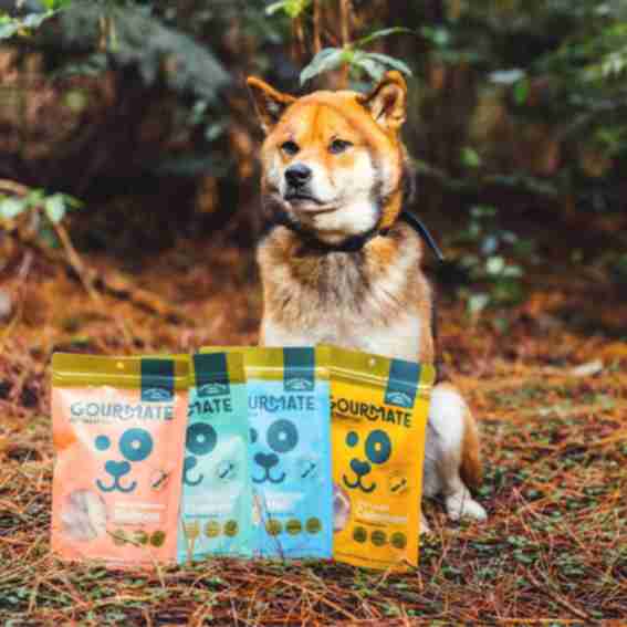 Gourmate Pet Treat Co. Reviews
