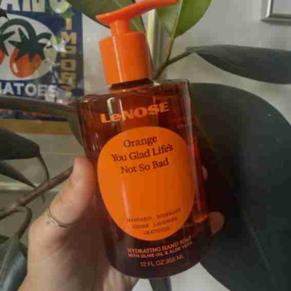 Lenose Reviews