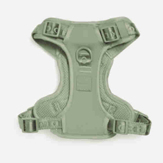 Easy Fit Harness