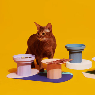Purrre