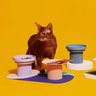 Purrre