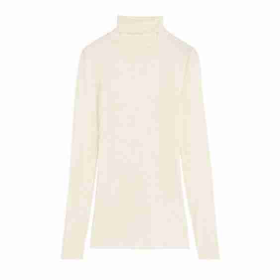 Sheer Merino Wool Roll-Neck