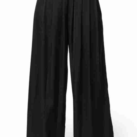 Pleated Wide Leg Pants