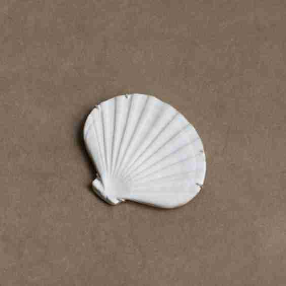 Shell Amulet .07 Brooch
