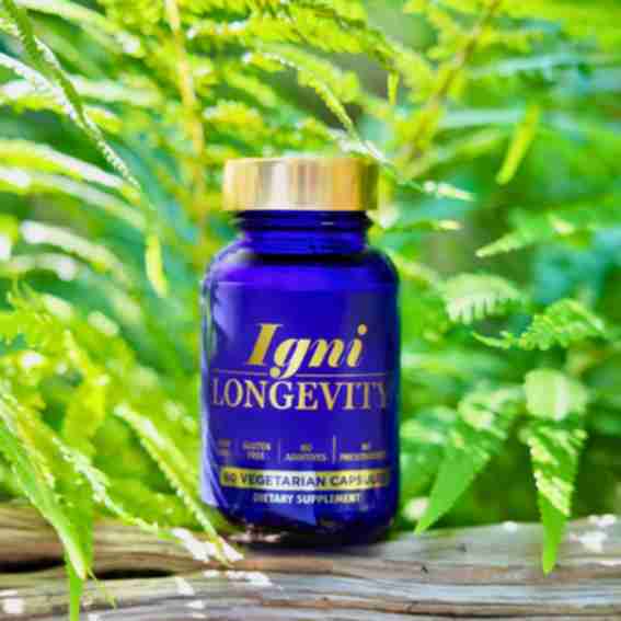 Igniton Reviews