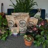 Sol Soils