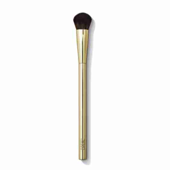 The Complexion Brush