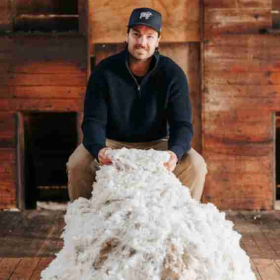 Sir W. Merino Reviews