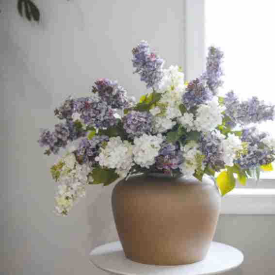 Prestige Botanicals Reviews