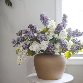 Prestige Botanicals