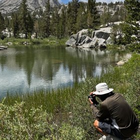 Nikon