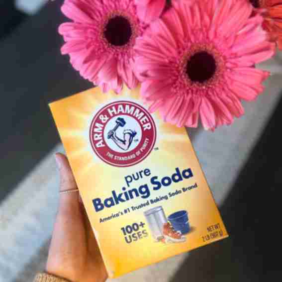 Arm and Hammer Reviews
