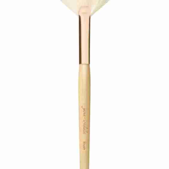 White Fan Brush
