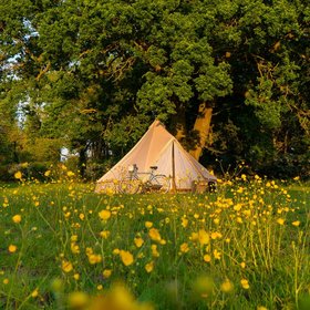 Boutique Camping