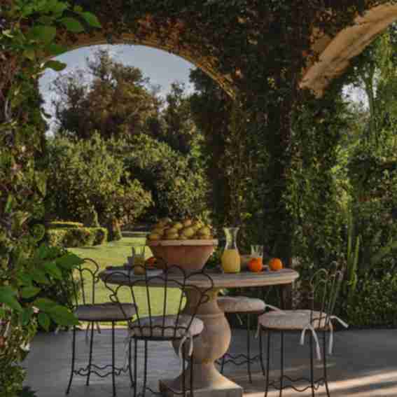 Olive Ateliers Reviews