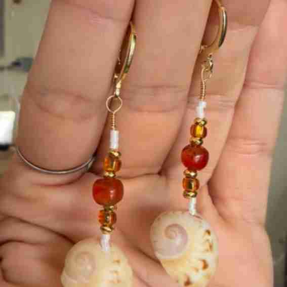 Sanibel Coral and Shells Reviews