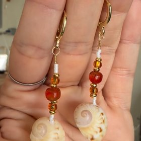 Sanibel Coral and Shells
