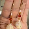 Sanibel Coral and Shells
