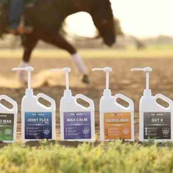 100X Equine Reviews