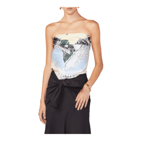 Printed Silk Twill Scarf