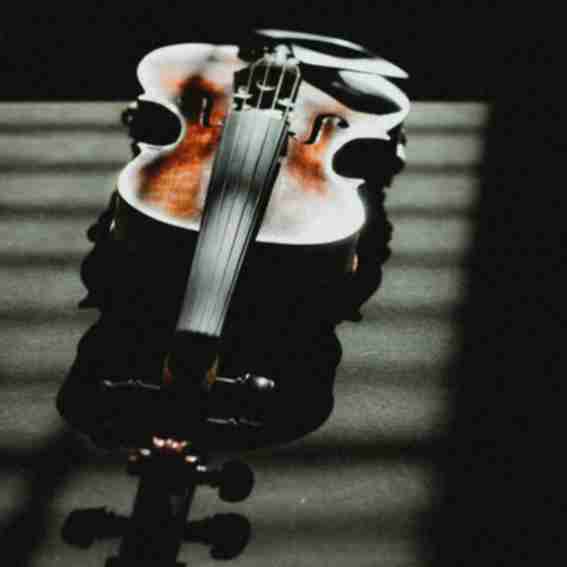 The Violin Shop Reviews