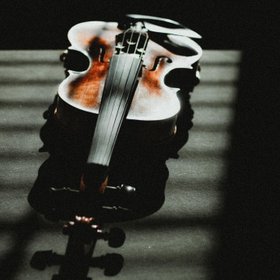The Violin Shop