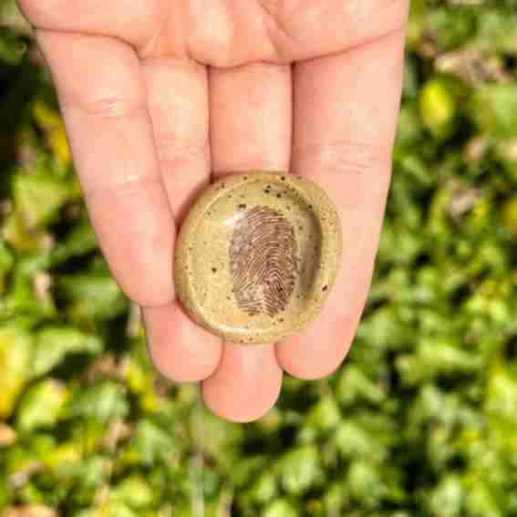 Thumbprint Reviews